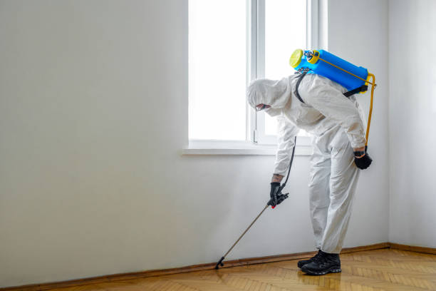 Best Commercial Pest Control  in Woodlyn, PA